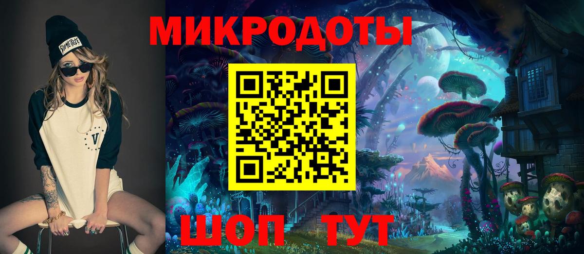 Галлюциногенные грибы Psilocybe Полысаево