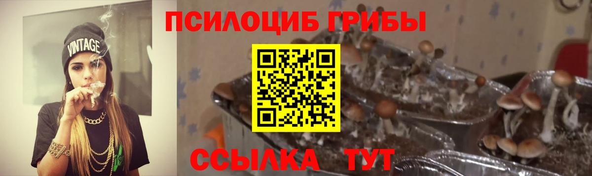 Галлюциногенные грибы мицелий  Вход с VPN  Псилоцибиновые грибы прущие грибы  Полысаево 
